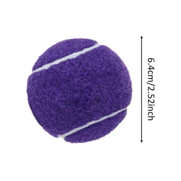 6x Tennis Balls for Beginner Training Durable Practice Balls 2.52\" Dia Purple