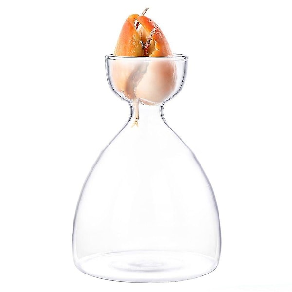 1 stk. Transparent Avocado Frø Starter Vase Til Dyrkning Af Frø Dyrkningssæt Avocado Plante Glas Vase Gave Til Havearbejde Elskere