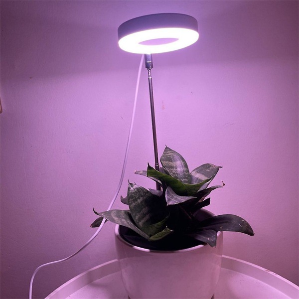 Led växtljus Dimbar odlingslampa 5w, höjdjusterbar led växtlampa med 3 timers Fullspektrum Växtljus för inomhusväxter Grönsaksflöde