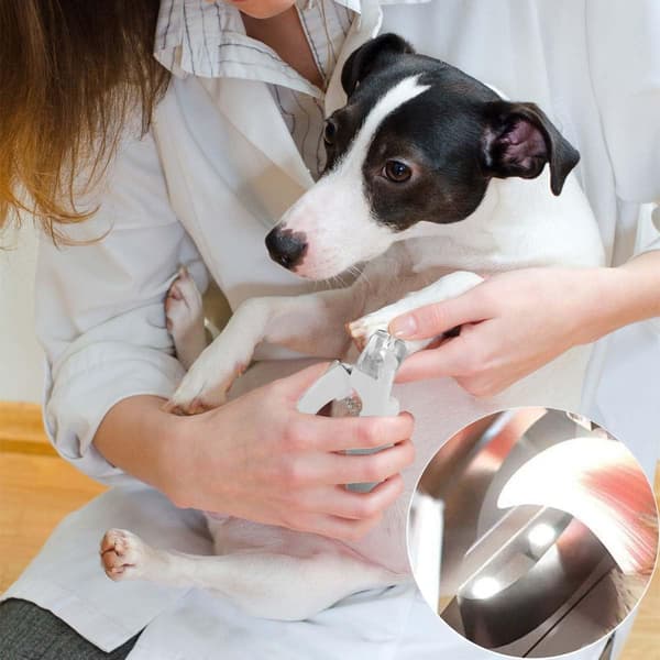 Klo-saks til kæledyr med LED-lys til hunde og katte, genopladelig