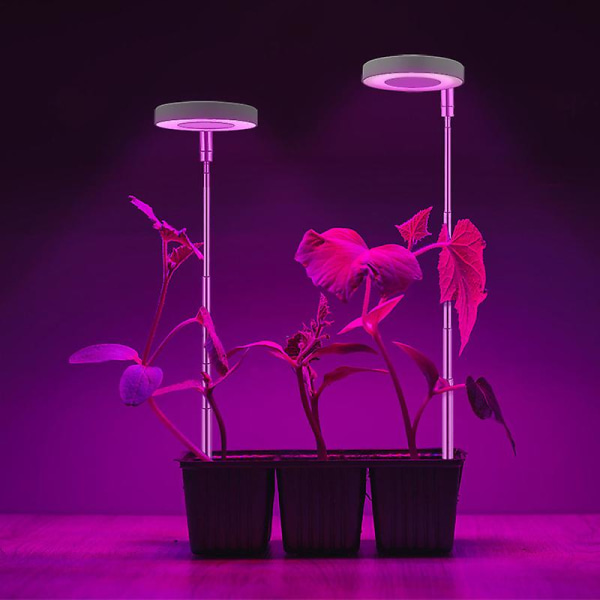 Led plantevækstlampe fuldt spektrum indendørs engelring plantelampe Hjemme Sukkulent Blomsterplantelampe 5v