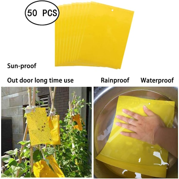 50 Flugfällor 15cm x 20cm Körsbärsflugefällor, Anti Gnat Dubbelsidig Klibbigt Papper, Gula Klibbiga Papper för Vit Flug Blad, Bladlöss, Miner med Vridband