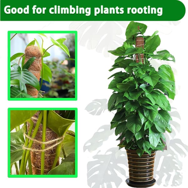 Moss Pole, 2-pack 43 cm Monstera Plant Support for Climbing Plants Accessories Indoors, Stackable Moss Poles Plant Support Stakes, Coir Plant Stick