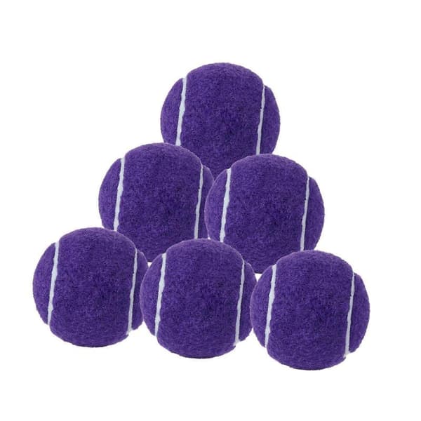 6x Tennis Balls for Beginner Training Durable Practice Balls 2.52\" Dia Purple