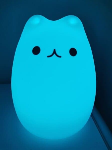 LED natlampe - kat