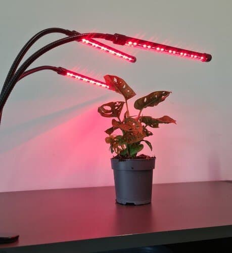 Lampe til plantevækst 3x20 LED