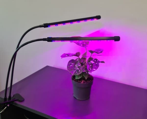 LED-kasvivalo kasveille