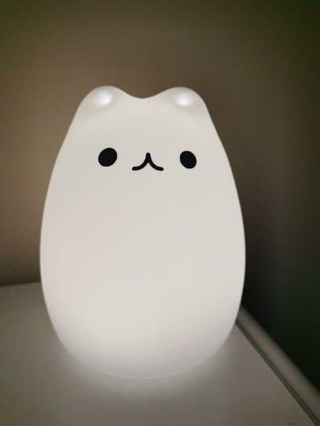 LED natlampe - kat