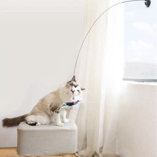 Katte legetøj med sugekop