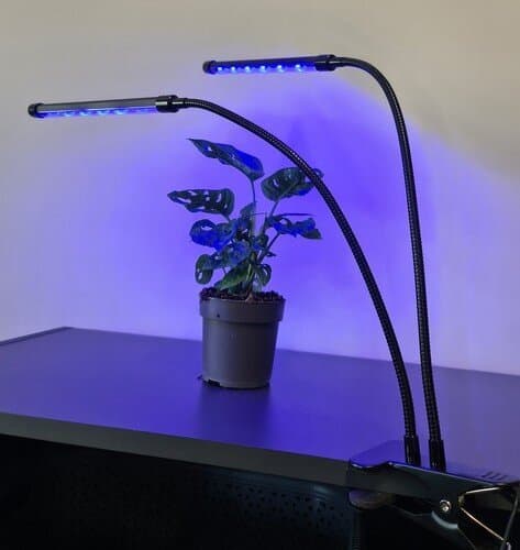 LED-kasvivalo kasveille