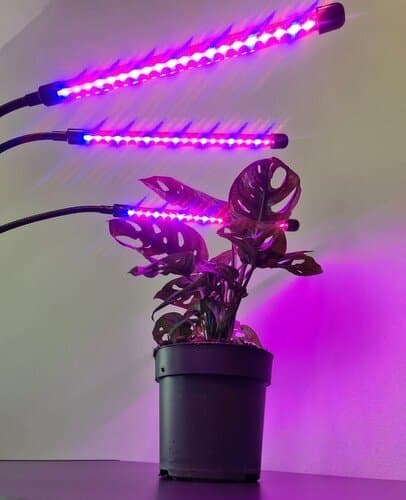 Lempa kasvien kasvattamiseen 3x20 LED
