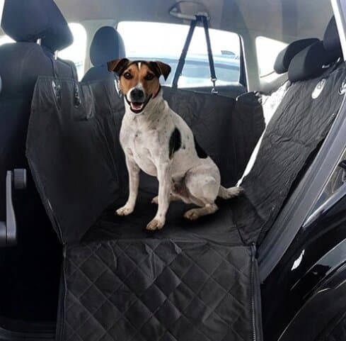 Vanntett beskyttelsesmatte for hund