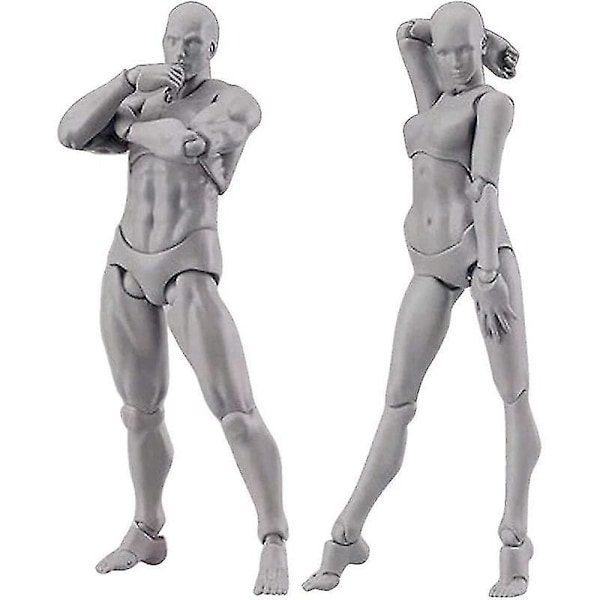 Kroppsmodell, Konstnärs Manikin Blockhead Ledad Mannekäng Ritfigurer Manlig+Kvinnlig Set (Grå)