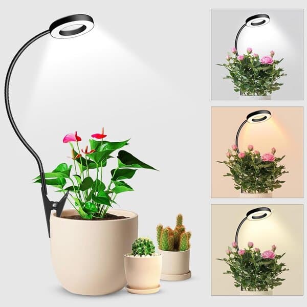 LED Plantelys Sukkulent Vækstlys