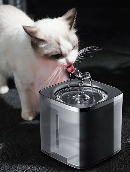 Automatisk vannfontene for katter og hunder, 2l
