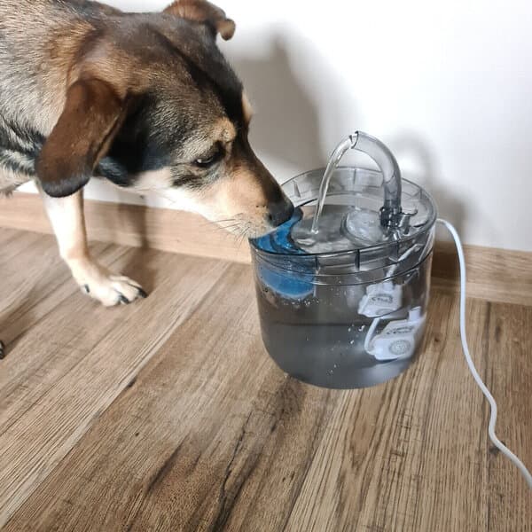 Purlov fontæne - drikkefontæne til dyr, 2000 ml