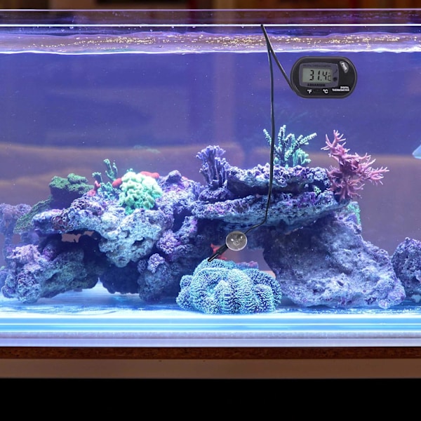 Digital Termometer för Akvarium - Temperaturmätare - Akvarium Marin Vivarium – Elektronisk Termometer – Tropiska Fisktankstillbehör