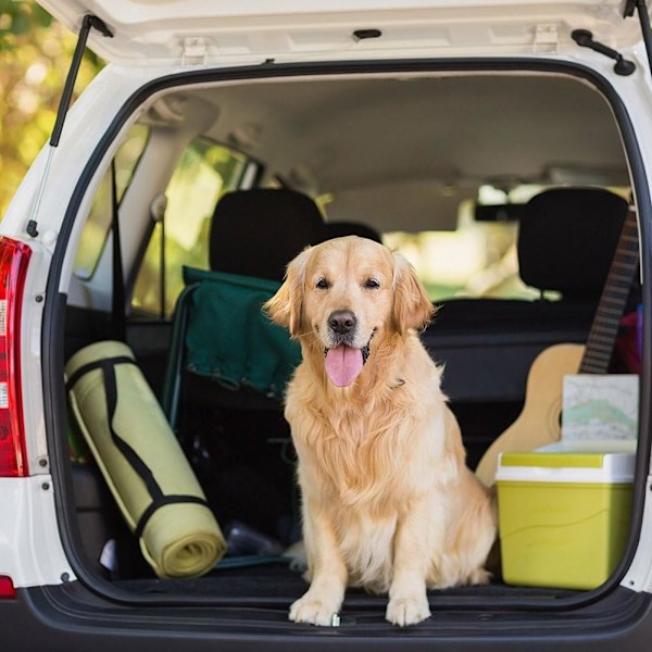 Hundfilt - Hundmatta - Skyddsöverdrag - För i bilens baksäte eller bagageutrymme - Hundhängmatta för i bilen - Hundfilt bil baks