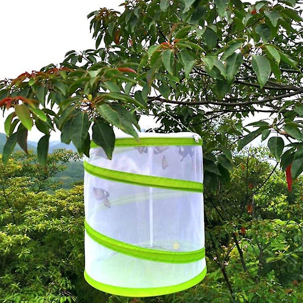 Foldbar Insekt Sommerfugl Habitat Bur Klar Mesh Bærbar Bur Beholder M