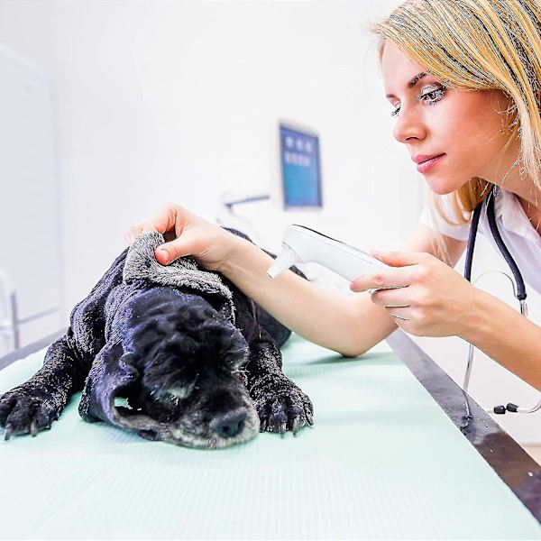 Örontermometer för katt och hund, termometer endast för husdjur