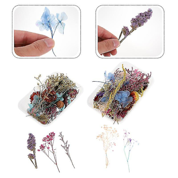2 stk. Mini Tørrede Blomster
