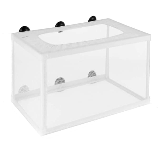 Uiva Play Box - Kutupaikkatankki Akvaarioon