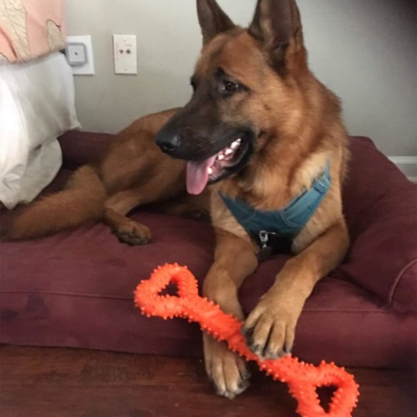 Hållbara hundtuggleksaker 13 tum benformad valptuggleksak med konvex design Stark dragleksak för aggressiva tuggare Medelstora och stora hundar Tand rengöring Orange