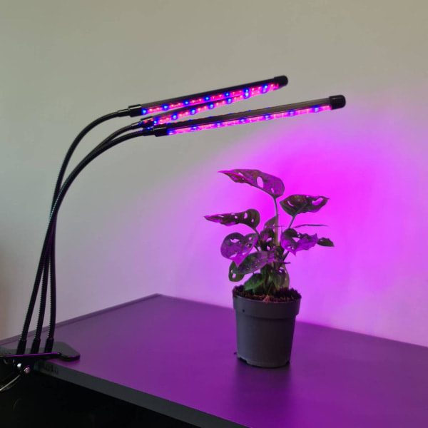 Justerbar LED-lampa - Timer Svart - För växter