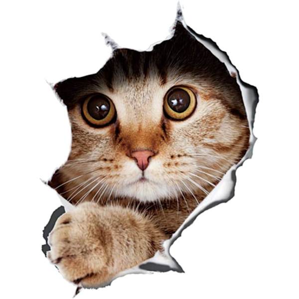 2 stk 3D Stereo Katt Avtakbar Bilsticker Anime Morsom Dekorasjon Kattunge Sticker Bilstiling Sticker