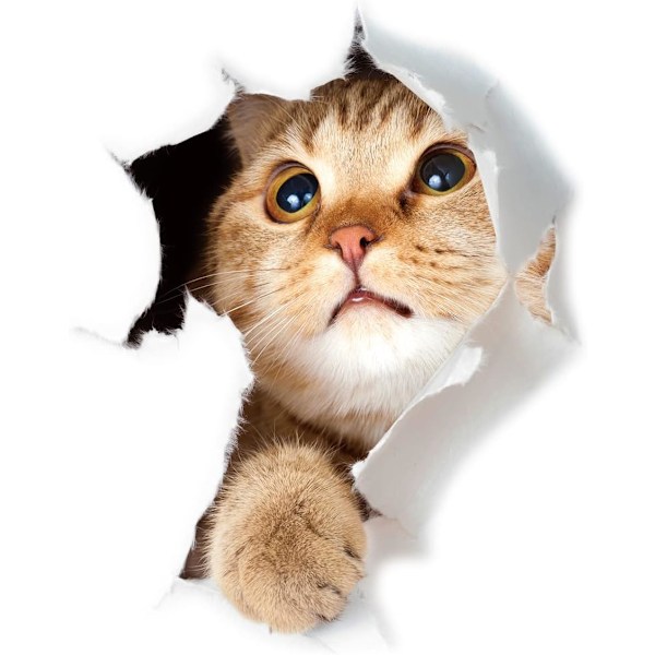 Søde 3D Katte Vægmærker 3 Pak Vægstickers Piger Drenge Soveværelser Stue Vægdækning Cat 2