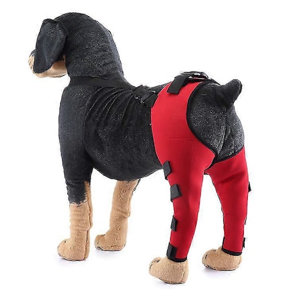 Støtte for hundeben, knebeskytter for hund, dobbel bakre benstøtte, sårbeskytter for hundeben, benbeskytter med knebeskyttelse S Red