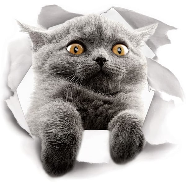 Søde 3D Katte Vægmærker 3 Pak Vægstickers Piger Drenge Soveværelser Stue Vægdækning Cat 2