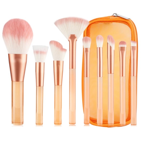 TECHNIQUE PRO TRANSLUCENT PERFECTION SMINKBORSTSET - 9 SMINKBORSTAR MED VÄSKA (ORANGE)