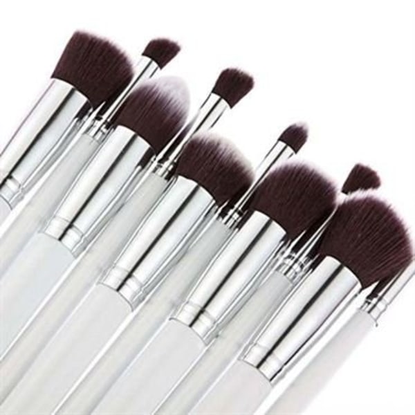 Technique Pro Silver Edition  Makeupborstar - 10 st.