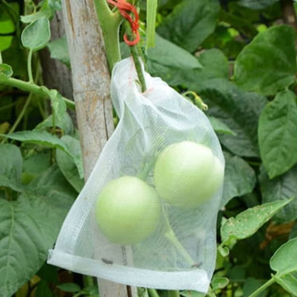 100-pack fruktskyddspåsar - Insektsnät för fruktträd -