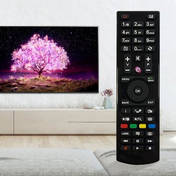 Fjernbetjening - HD LINE - CGV Premio SAT HD-W3 / HD-W4 / HD-W5 - Sort - Enkel fjernbetjening