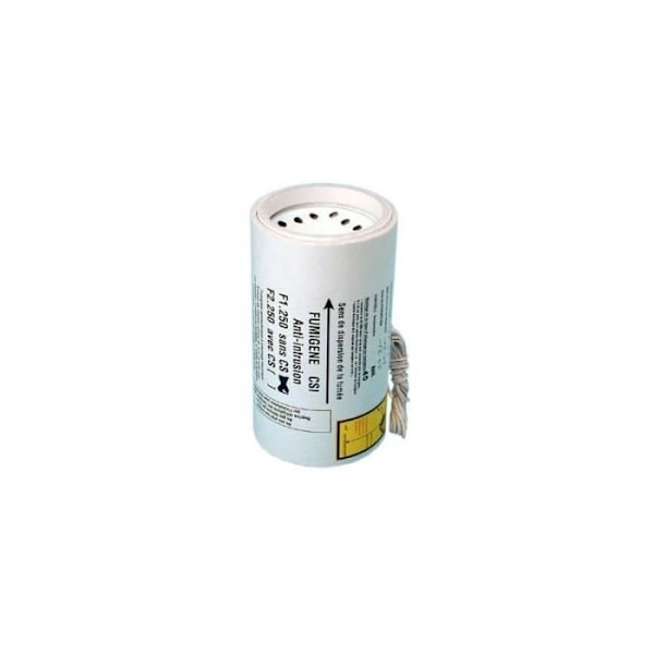 ELEKTRISK RÖKGENERATOR 250M3 FUMICYLINDER 250 RÖKLARMUTLÖSNING 12VDC