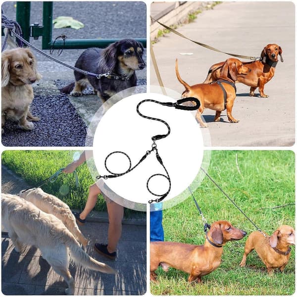 Dubbelt Hundkoppel, Bungee Split Rep, Robust Stötdämpande Rem för Promenader Svart L