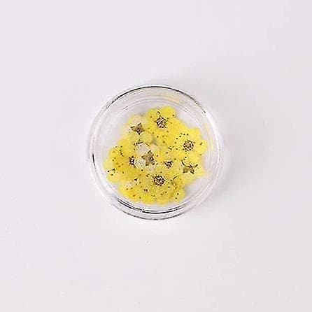 Lysegule farverige naturlige tørrede blomster til neglekunstdekorationer