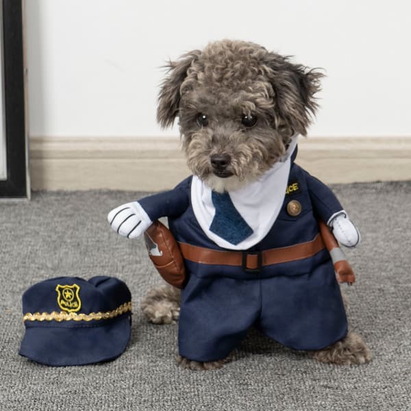 Hundekostumer Dyrefestkostumer Cosplay Kæledyrskostumer size:XL