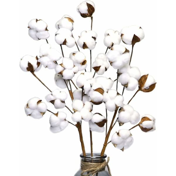 3 förpackningar med 10 konstgjorda torkade bomullsblommor