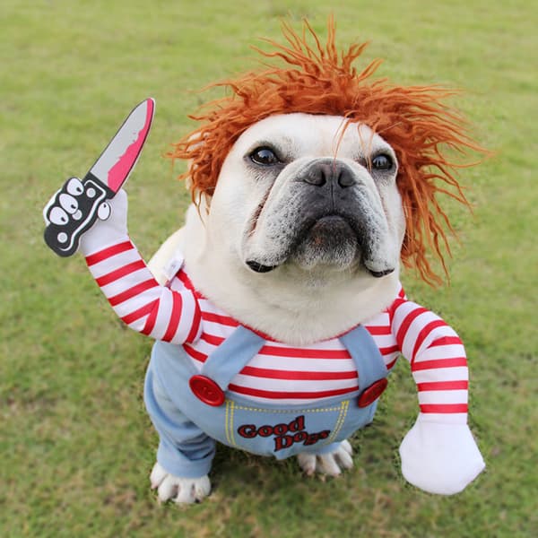 Hundekostumer Dyrefestkostumer Cosplay Kæledyrskostumer size:S