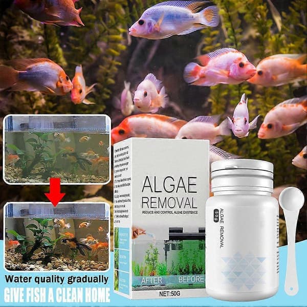 Multifunktionel Algefjerner Akvarium Vandrensning Algefjerningspulver 50g size:Algae Removal Powder