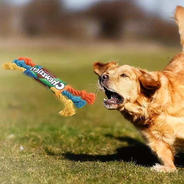 Holdbart, pibende hundetyggelegetøj – Robust 1PC