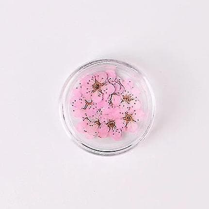 Lyserøde farverige naturlige tørrede blomster til neglekunstdekorationer