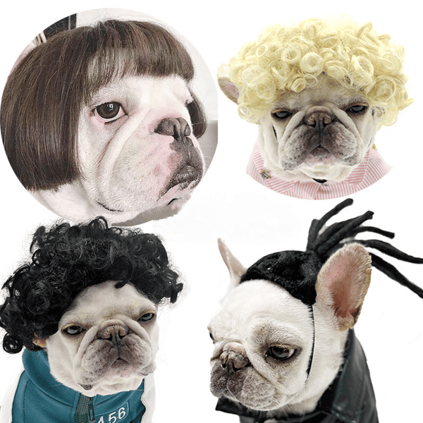 Hunde Kat Paryk Kostume, Cosplay Kæledyr Paryk Tilbehør size:C