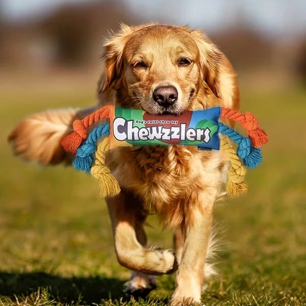 Slitesterkt, knirkende hundetyggeleke – Robust 1PC