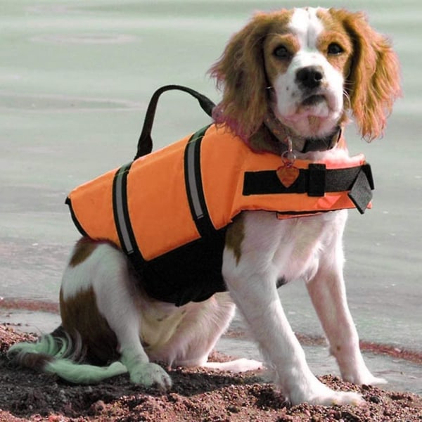 Orange hund flytväst reflekterande sommar simträning för husdjur（S）