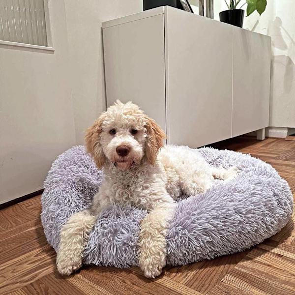Rund blød fluffy hundeseng katteseng LightGrey 40 cm
