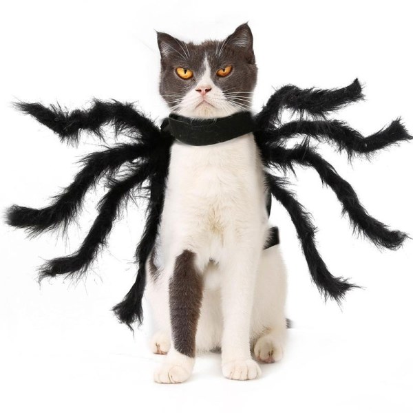 Lemmikkien musta hämähäkkiasu Koirakissa Halloween Spider Cosplay -asu XL (150cm)